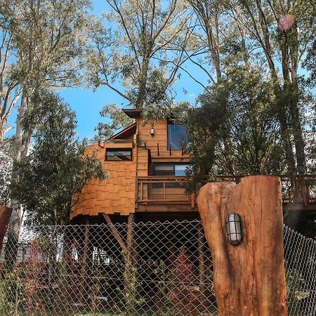 Casa Na Arvore Morada Dos Vagalumes Farroupilha Exterior foto