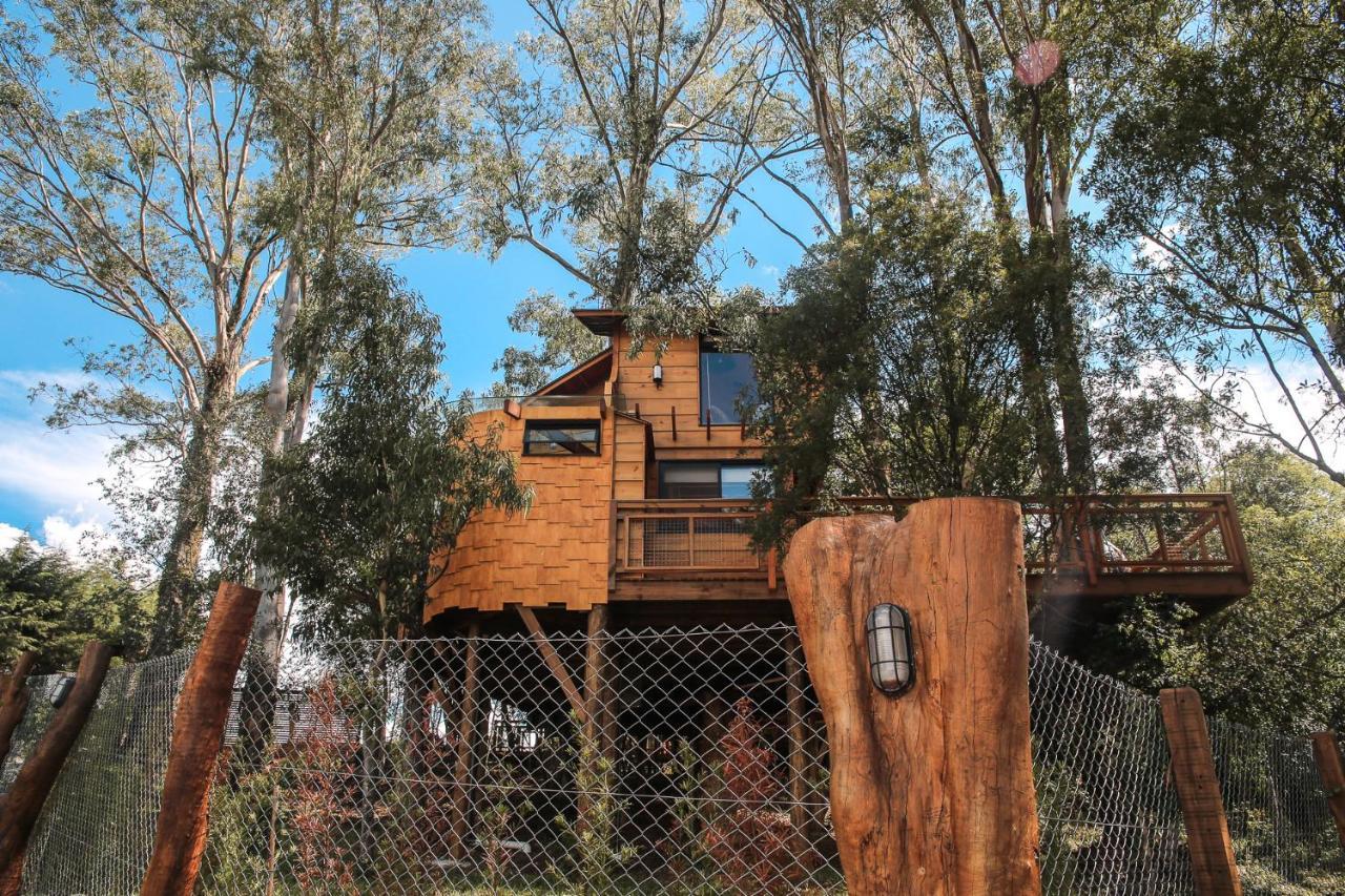 Casa Na Arvore Morada Dos Vagalumes Farroupilha Exterior foto